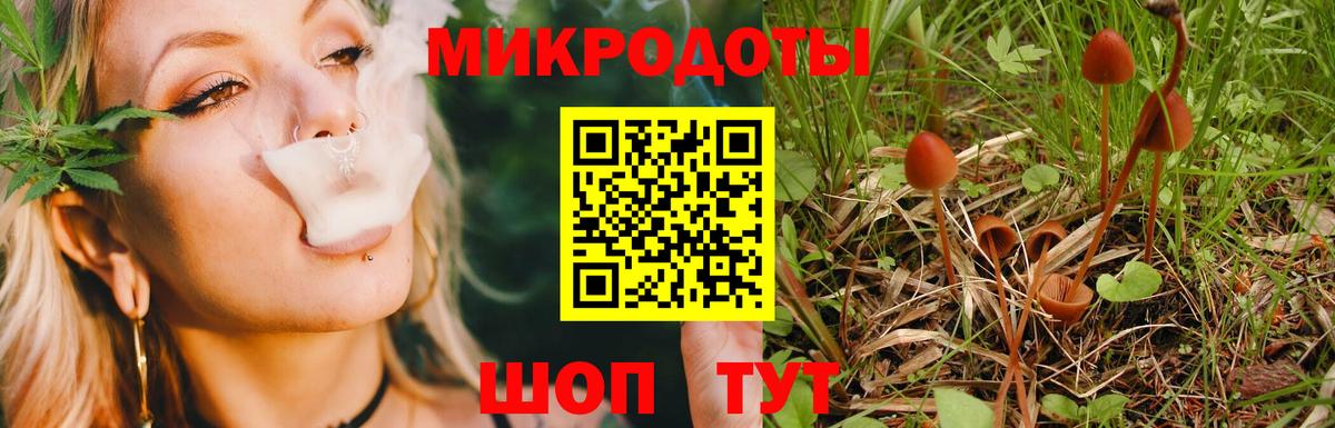 Галлюциногенные грибы мухоморы  магазин  наркотиков  Будённовск  Галлюциногенные грибы GOLDEN TEACHER  Вход с VPN 